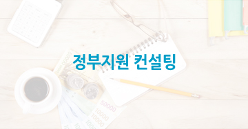 정부지원 컨설팅
